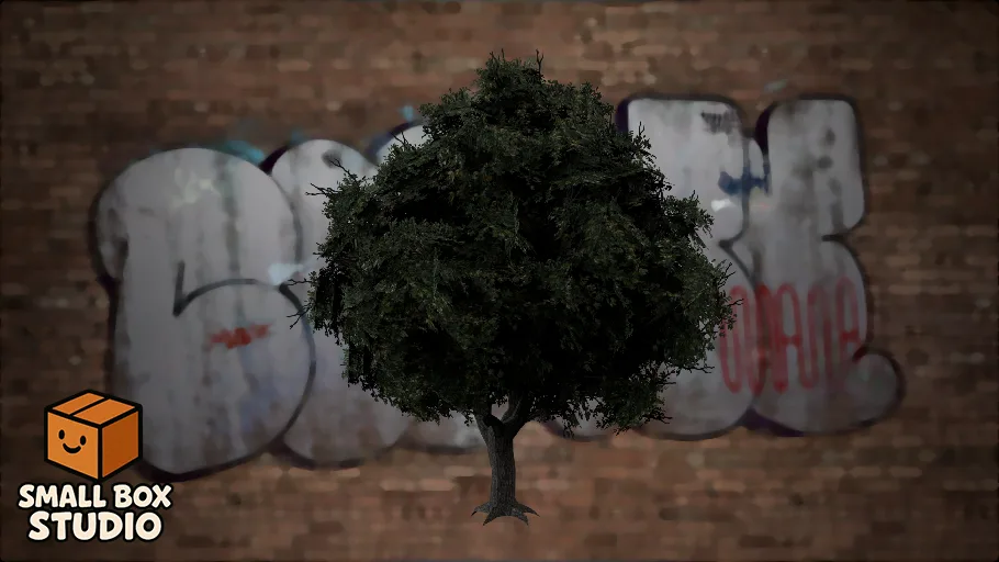 rp_union_city_oak_tree_04
