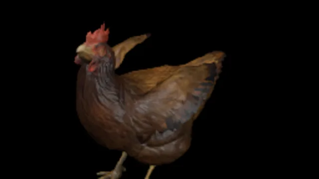 chicken