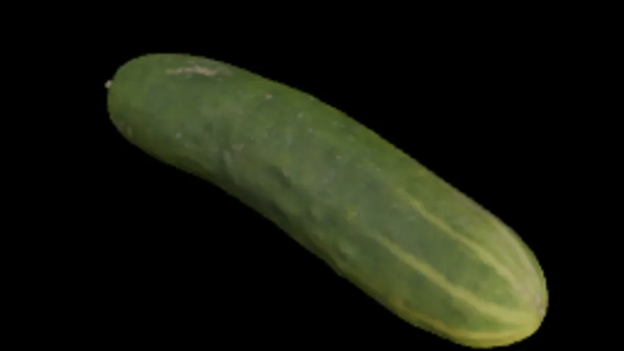 cucumber