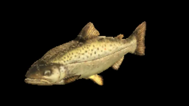 Brown Trout