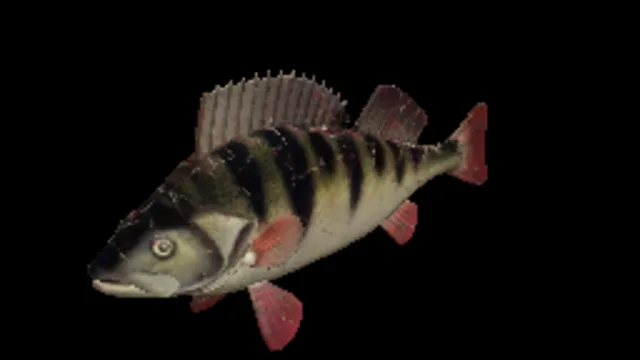 Perch