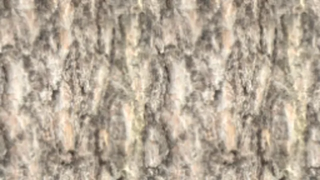 Bark 004