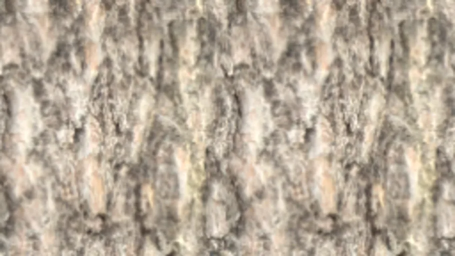 Bark 004