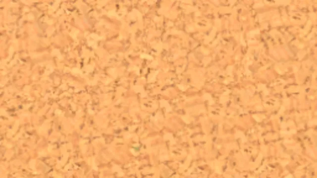 Cork 003