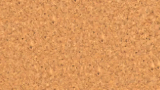 Cork 004