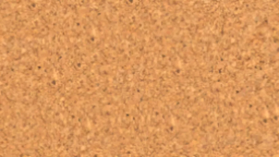 Cork 004