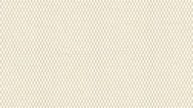 Fabric 062
