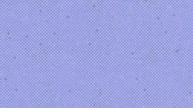 Fabric 064