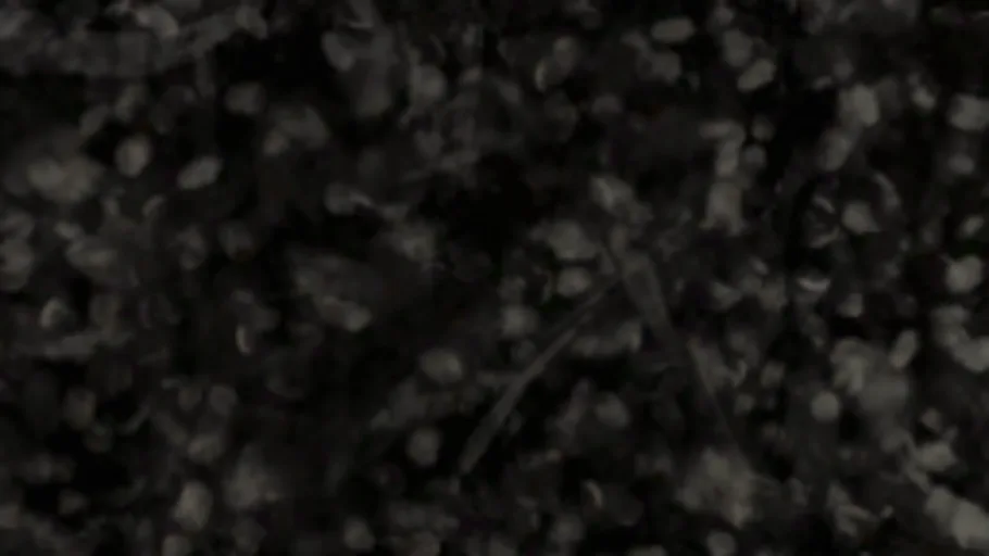 Fingerprints 007