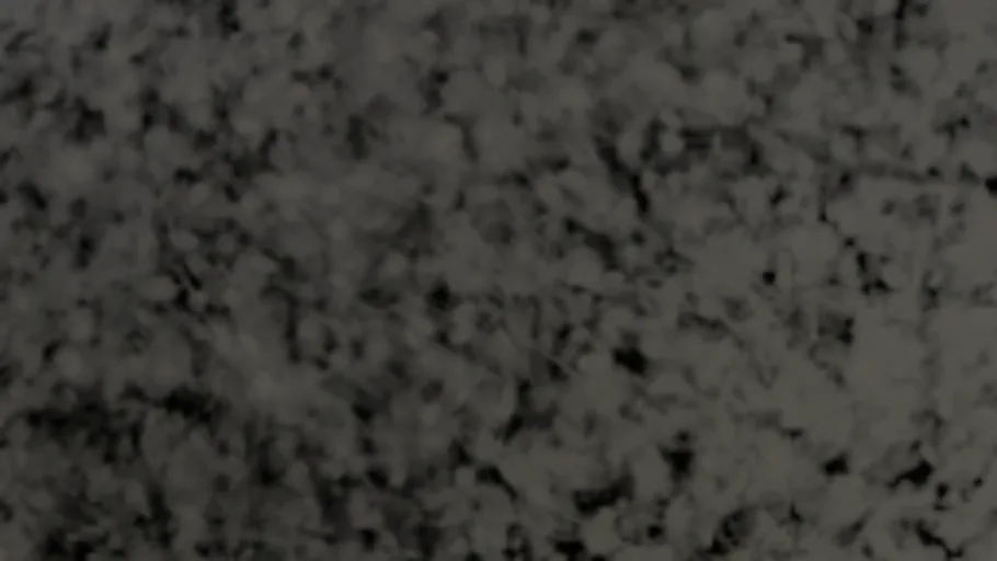 Fingerprints 008