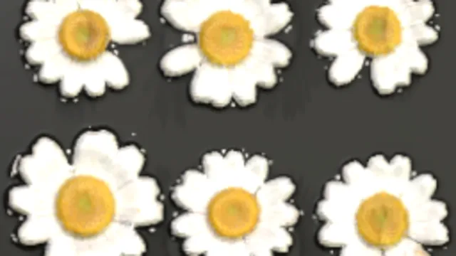 FlowerSet 001