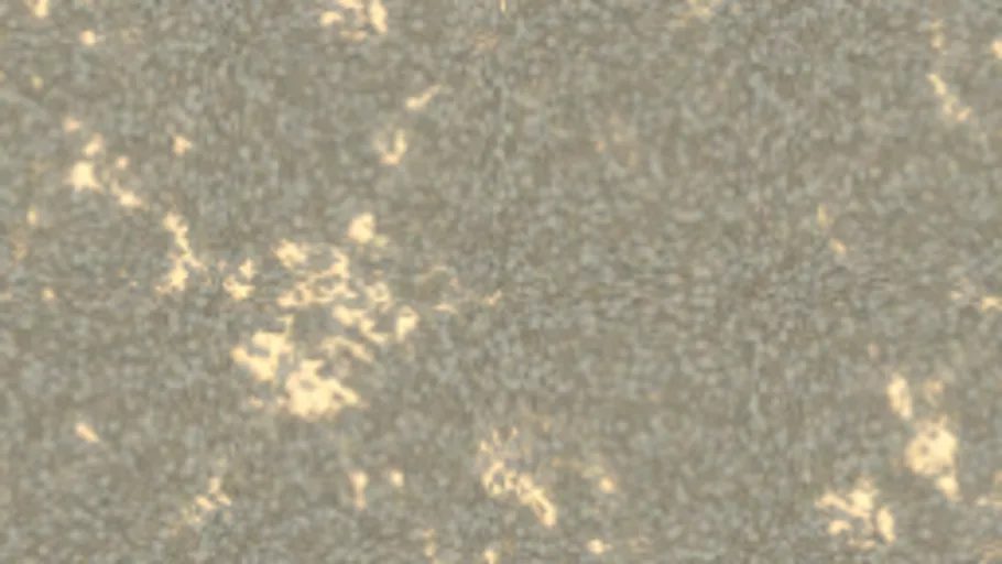 Gravel 012