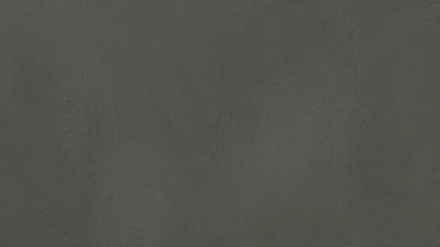 Leather 031