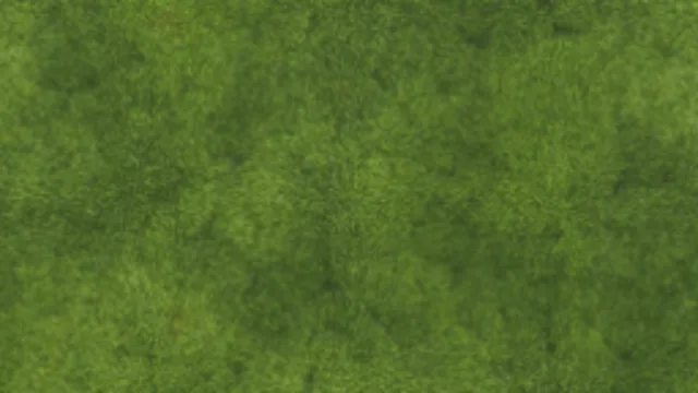 Moss 002