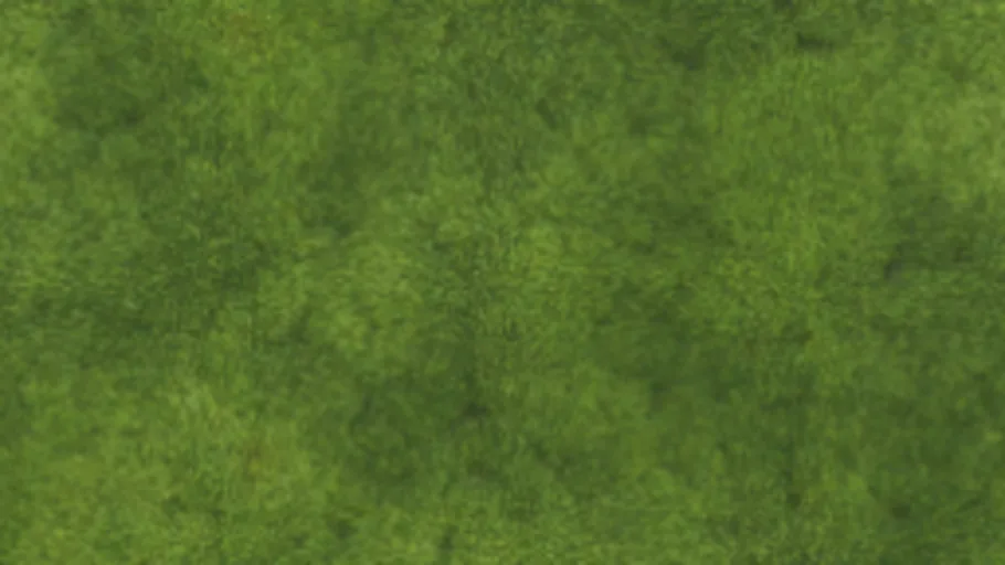 Moss 002