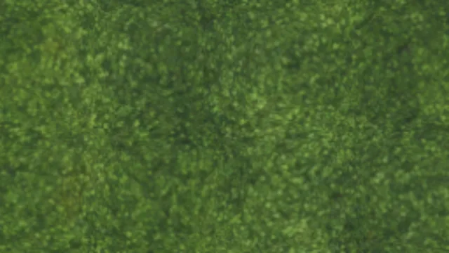 Moss 003