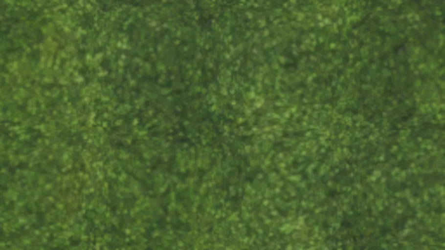 Moss 003