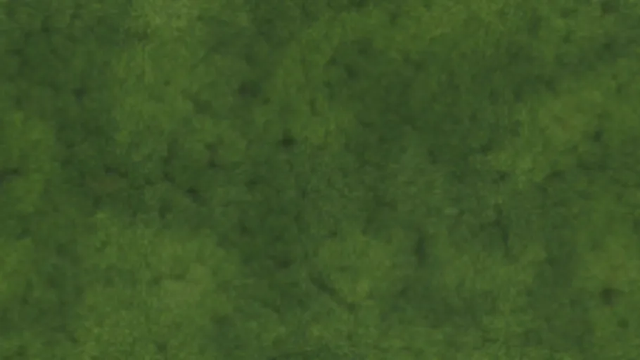 Moss 004
