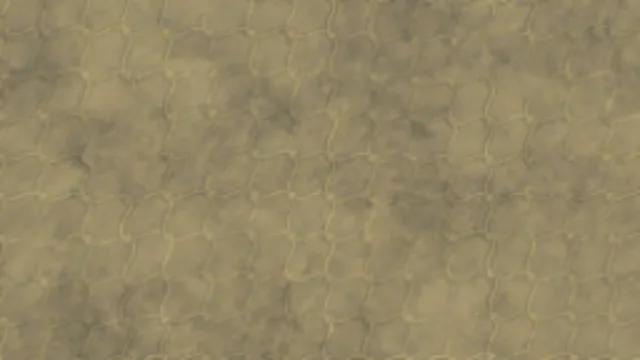 Net 002B