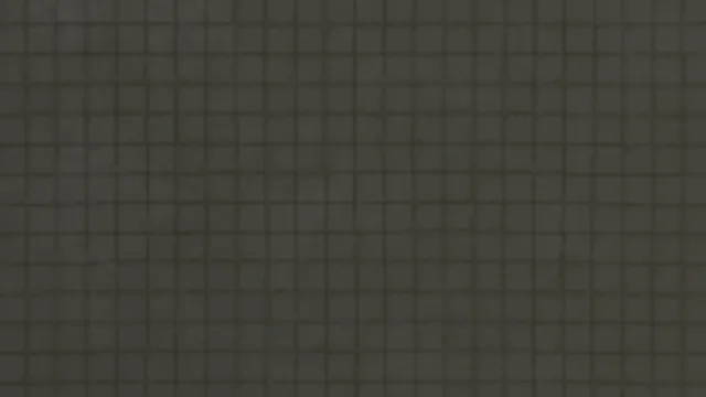 Net 003A