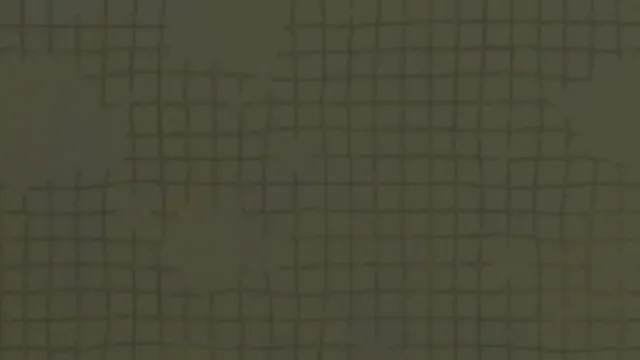 Net 003B