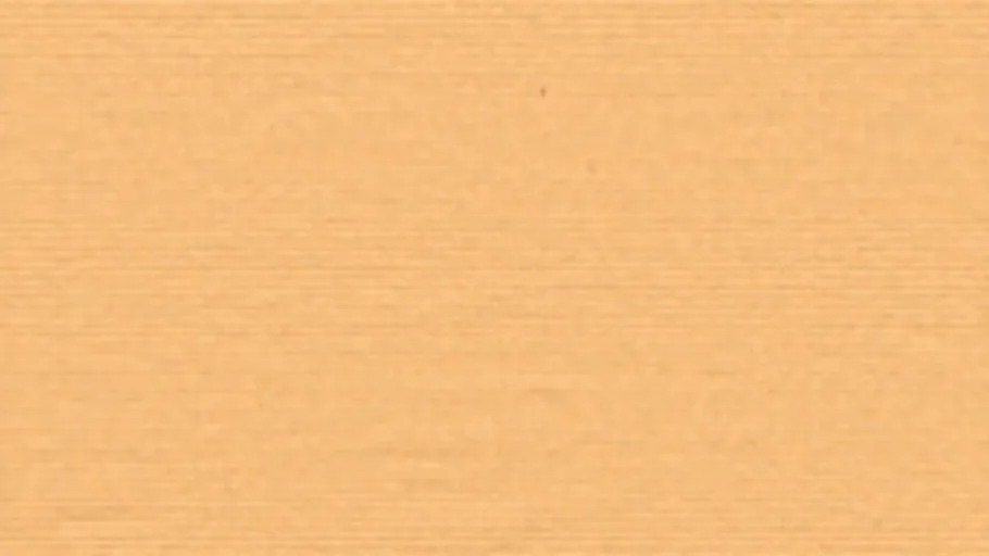 Paper 004
