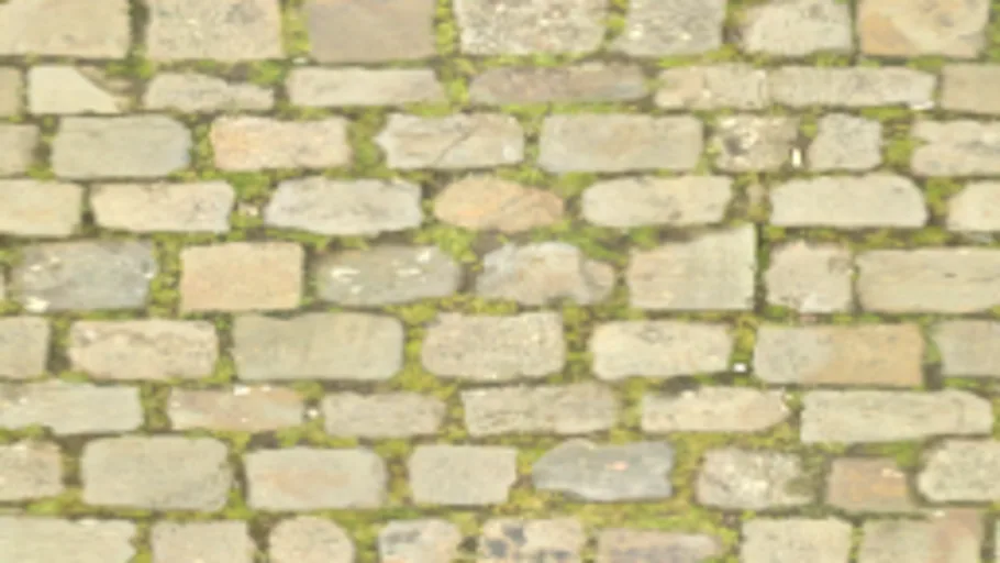 Paving Stones 138