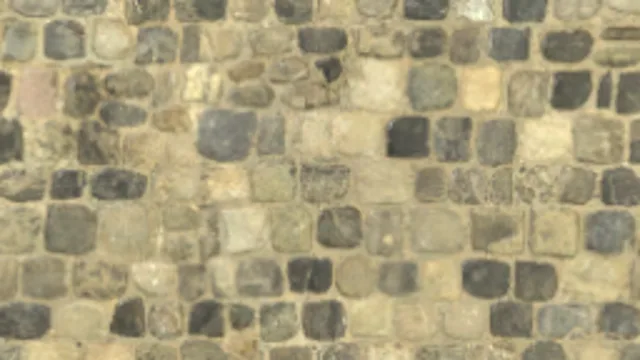 Paving Stones 142