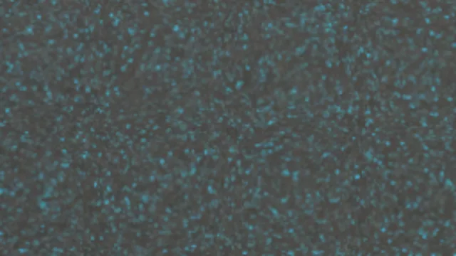 Rubber 002