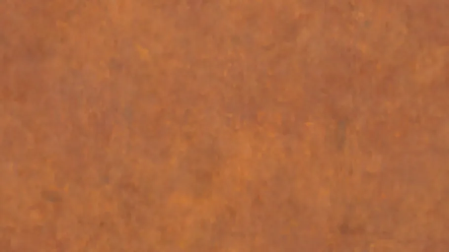Rust 010