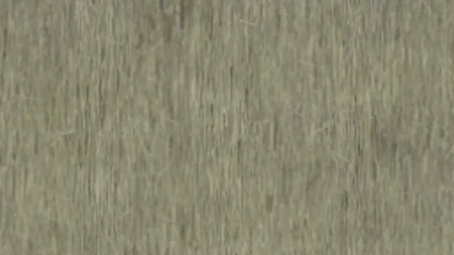 ThatchedRoof 002A