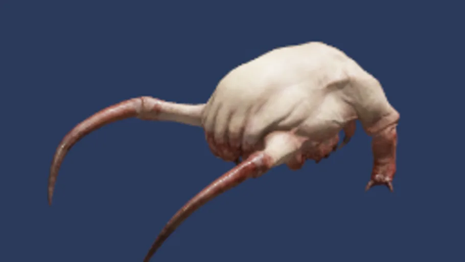 Head Crab Hat