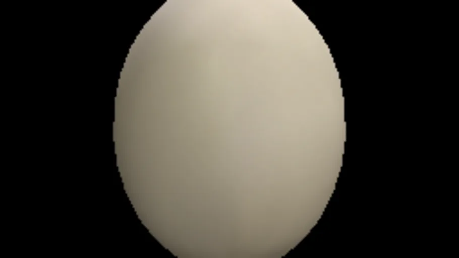 egg