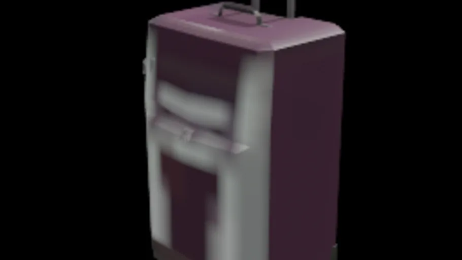 luggage
