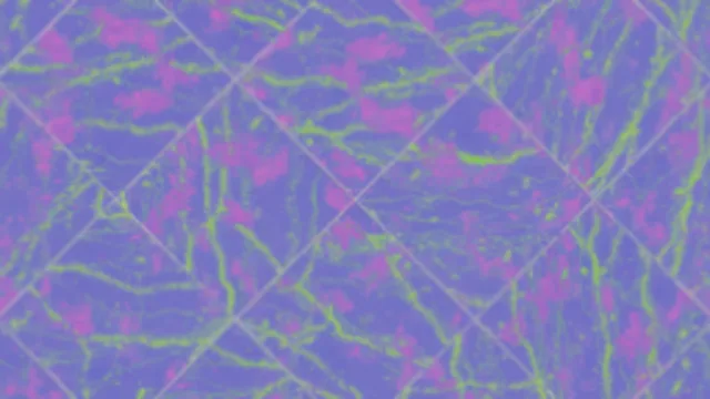 Purple Stained Marble Tiles