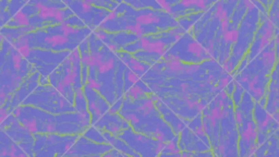 Purple Stained Marble Tiles
