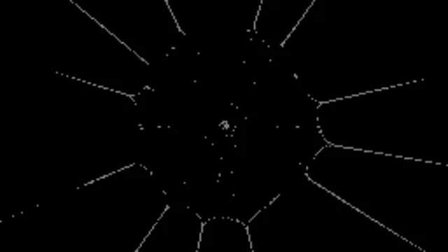 Spider Web 4