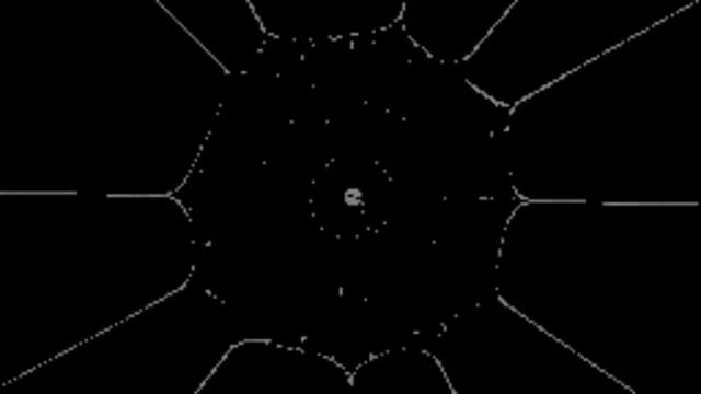 Spider Web 5