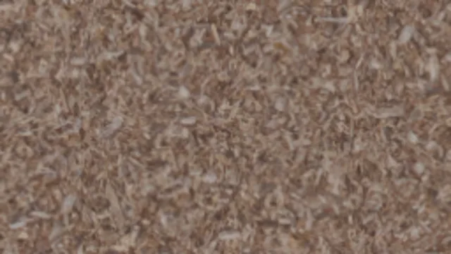 Wood Chips Floor