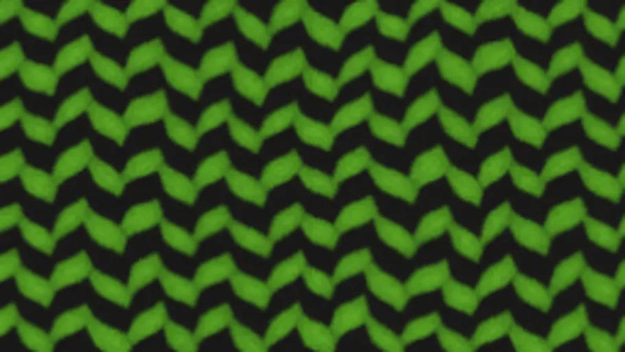 Wool Fibers 3
