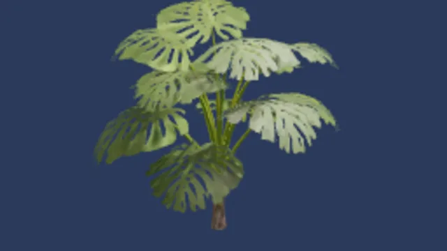 tropical plant