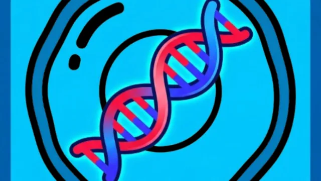 Evolution Clicker