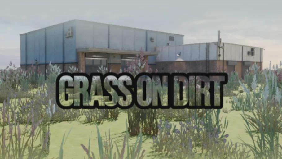 Grass on dirt