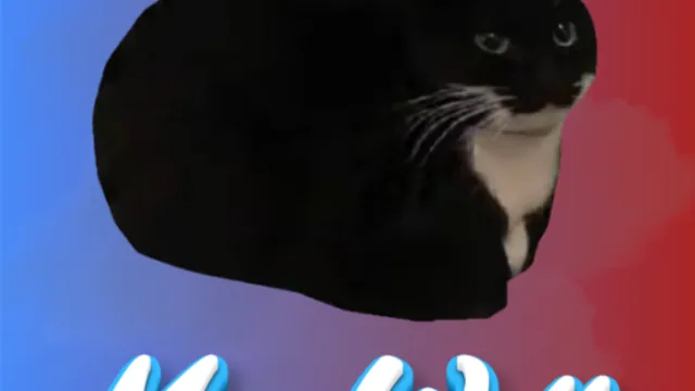 Maxwell The Cat