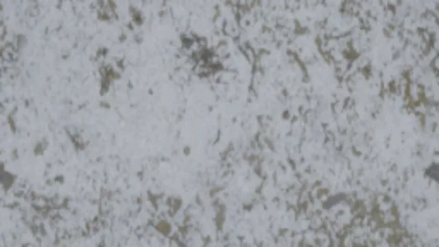 FRESH SNOW