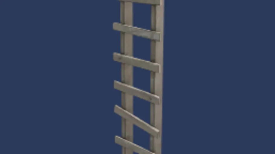 ladder001