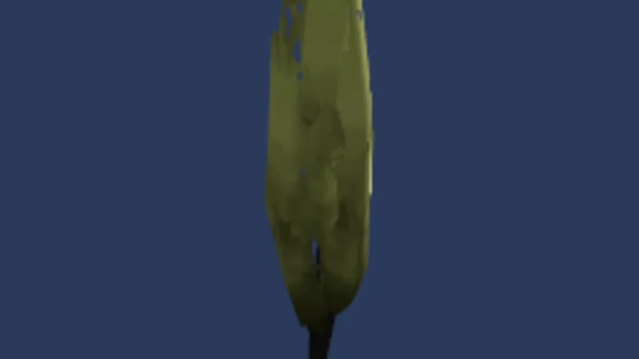 tree001