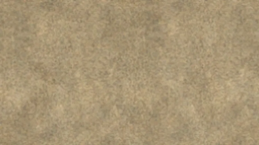 Carpet 12A