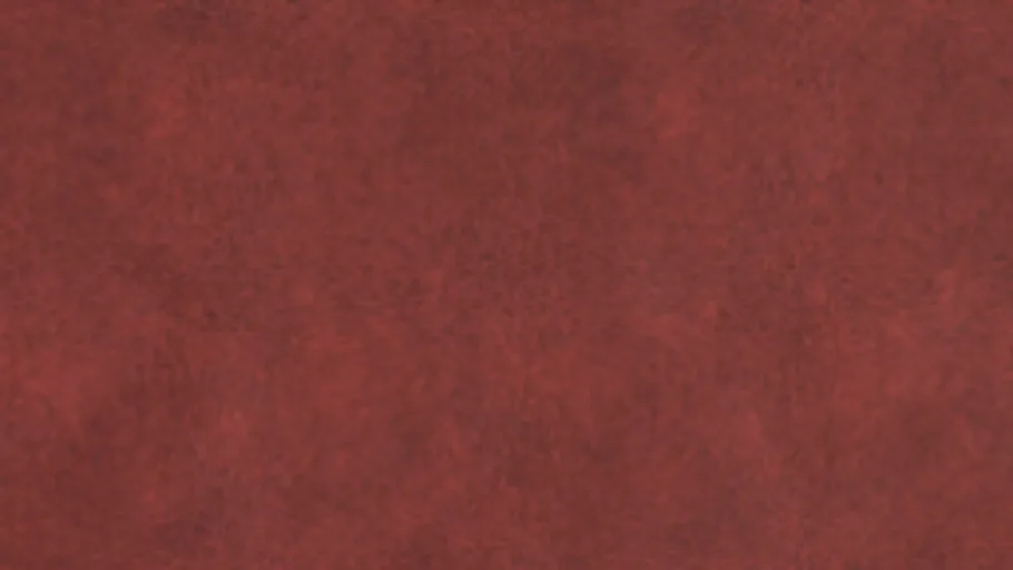 Carpet 12A Redtint