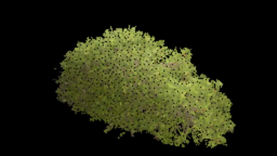 Deko Boxwood Bush 01H